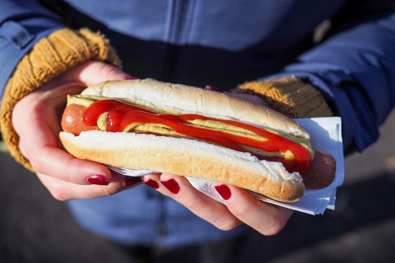 Vente Hotdogs manifestations Swiss Hot Dog